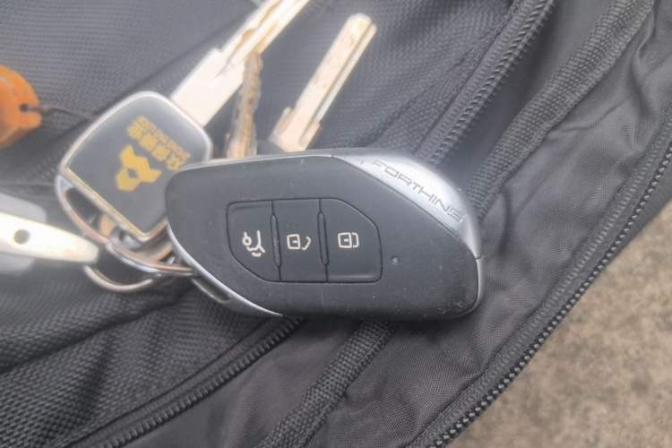 Used BYD Qin PLUS 2024 HONOR Edition DM-i 55KM Leading Model Vehicle Key