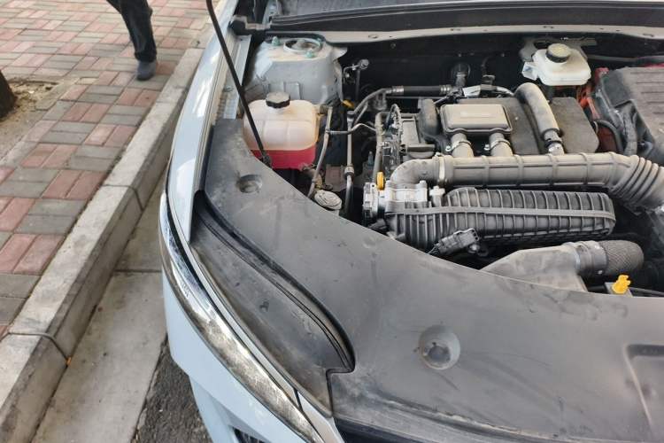 Used BYD Qin PLUS 2025 DM-i Smart Drive 55KM Leading Model Engine Bay Right