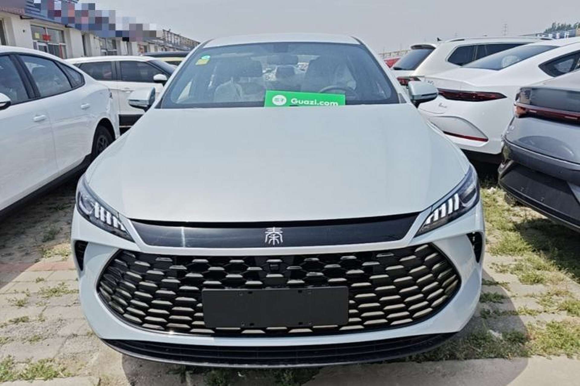Used BYD Qin PLUS  Front