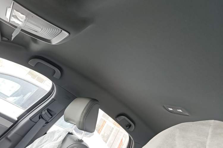 Used BYD Qin PLUS  Headliner