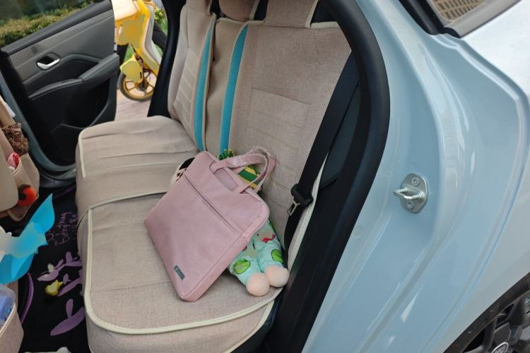 Used BYD Qin PLUS 2025 DM-i Smart Drive 55KM Leading Model Left Rear Seat