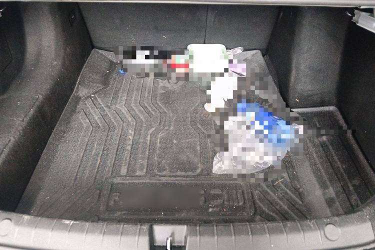 Used BYD Qin PLUS  Trunk