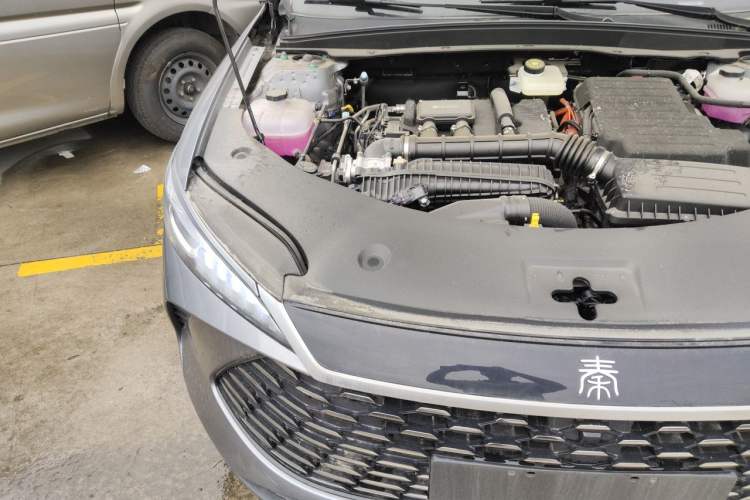 Used BYD Qin PLUS 2025 DM-i Smart Drive 55KM Leading Model Engine Bay Right