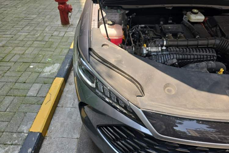 Used BYD Qin PLUS 2025 DM-i Smart Drive 55KM Leading Model Engine Bay Right