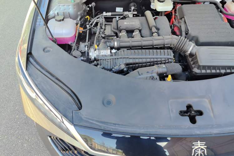 Used BYD Qin PLUS 2025 DM-i Smart Drive 55KM Leading Model Engine Bay Right