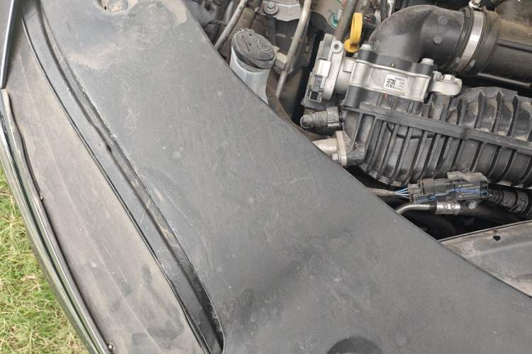 Used BYD Qin PLUS 2025 DM-i Smart Drive 55KM Leading Model Engine Bay Right