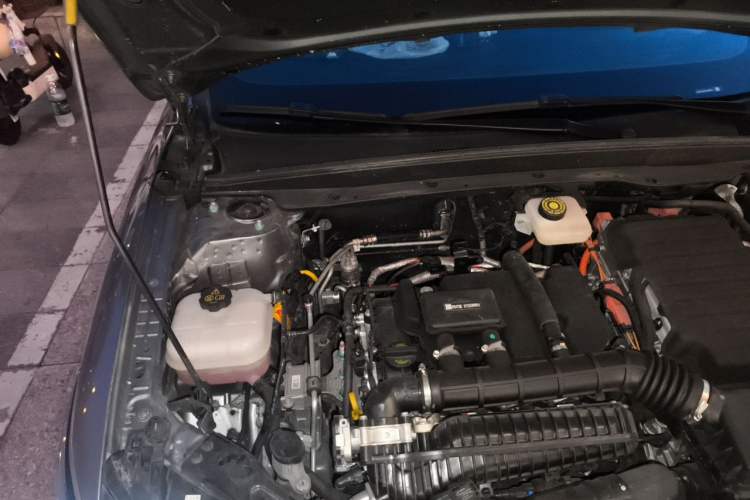 Used BYD Qin PLUS 2025 DM-i Smart Drive 55KM Leading Model Engine Bay Right