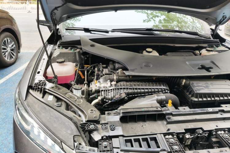 Used BYD Qin PLUS 2025 DM-i Smart Drive 55KM Leading Model Engine Bay Right