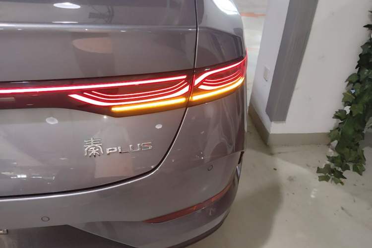 Used BYD Qin PLUS 2025 DM-i Smart Drive 55KM Leading Model Exterior 3