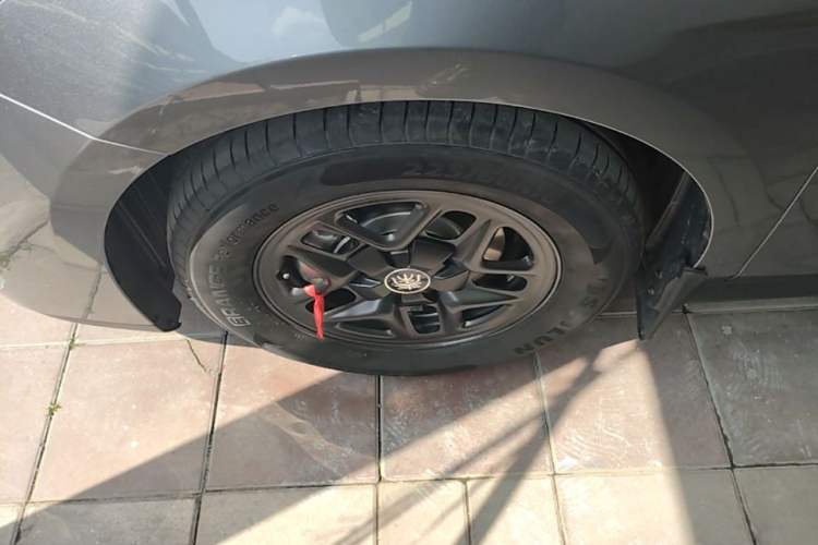 Used BYD Qin PLUS 2025 DM-i Smart Drive 55KM Leading Model Exterior 4