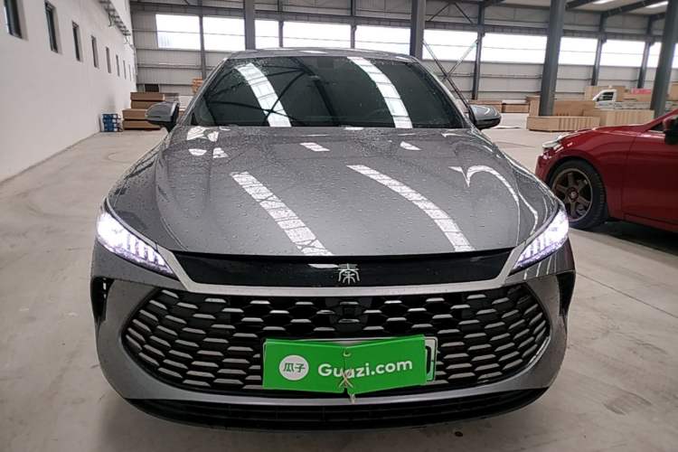 Used BYD Qin PLUS 2025 DM-i Smart Drive 55KM Leading Model Front