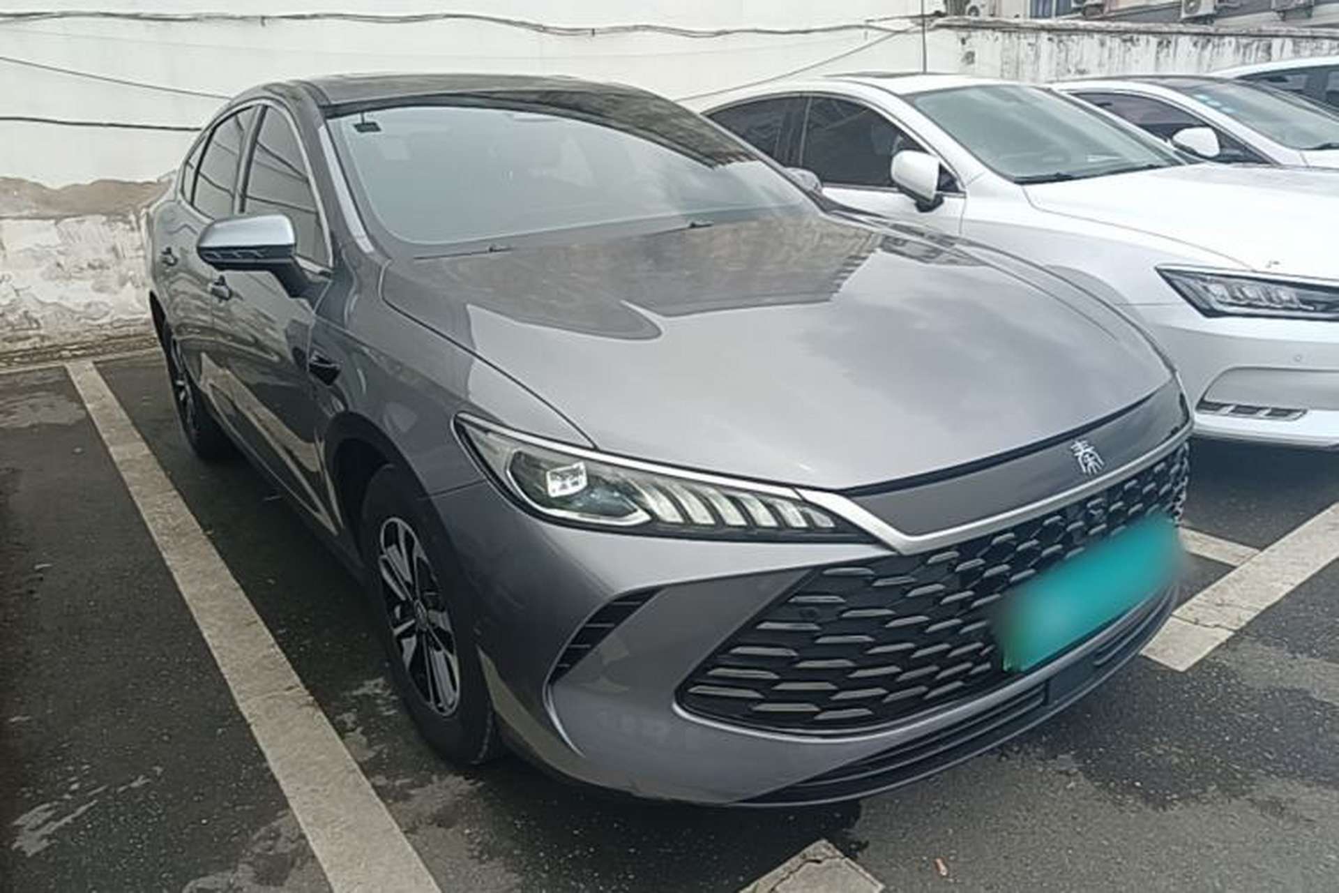 Used BYD Qin PLUS 2025 DM-i Smart Drive 120KM Superior Model Front Right 45 Deg