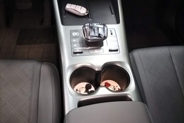 Used BYD Qin PLUS 2025 DM-i Smart Drive 55KM Leading Model Gear Lever
