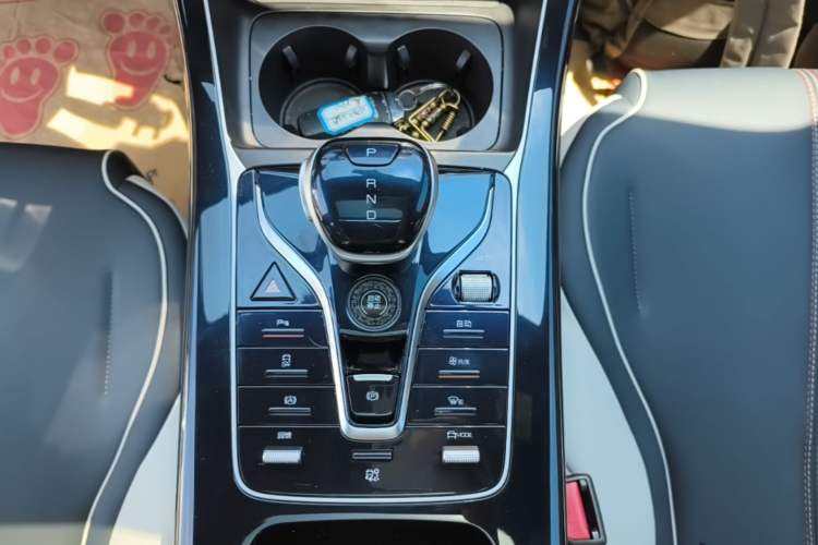 Used BYD Qin PLUS 2025 EV 510KM Standard Range Model Gear Lever