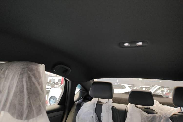 Used BYD Qin PLUS  Headliner