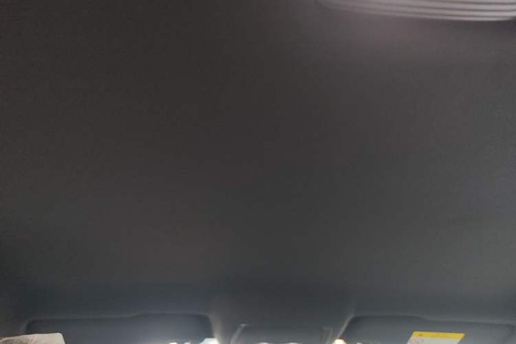 Used BYD Qin PLUS  Headliner