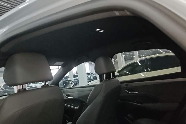 Used BYD Qin PLUS  Headliner