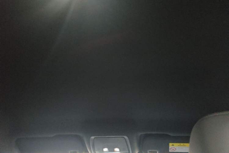 Used BYD Qin PLUS  Headliner