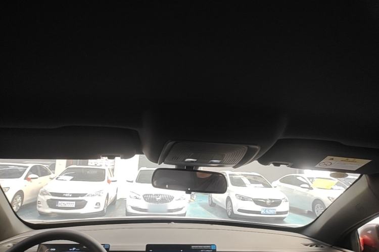 Used BYD Qin PLUS  Headliner
