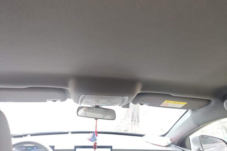 Used BYD Qin PLUS  Headliner