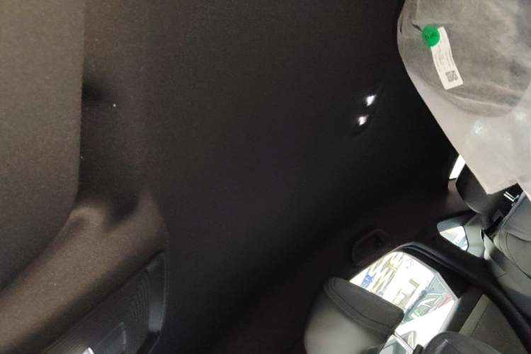 Used BYD Qin PLUS  Headliner