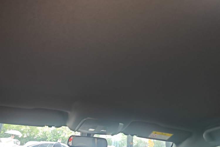 Used BYD Qin PLUS  Headliner