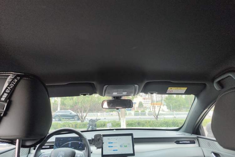 Used BYD Qin PLUS  Headliner