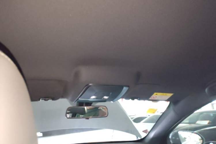 Used BYD Qin PLUS  Headliner