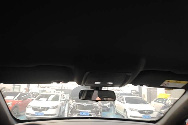Used BYD Qin PLUS  Headliner