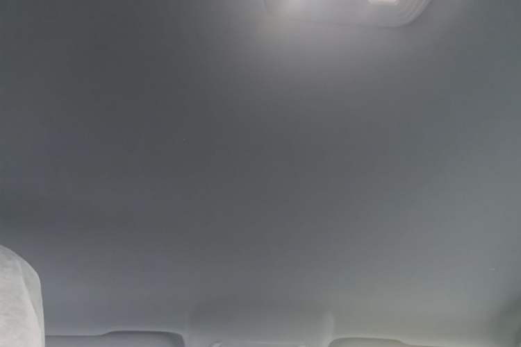 Used BYD Qin PLUS  Headliner