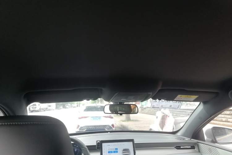 Used BYD Qin PLUS  Headliner