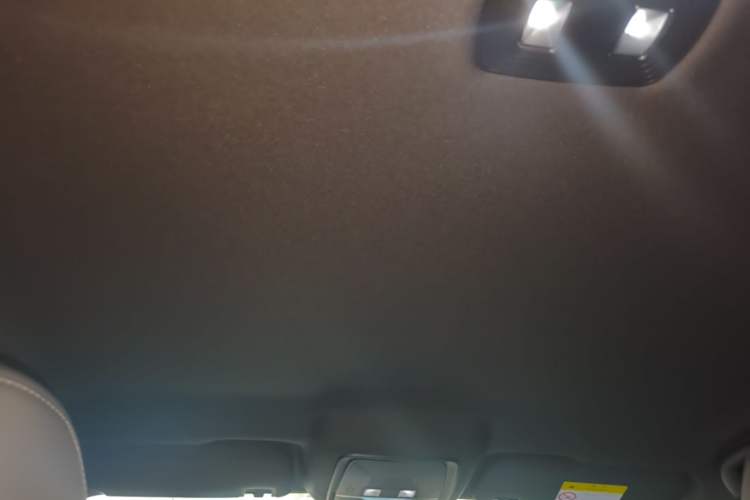 Used BYD Qin PLUS  Headliner