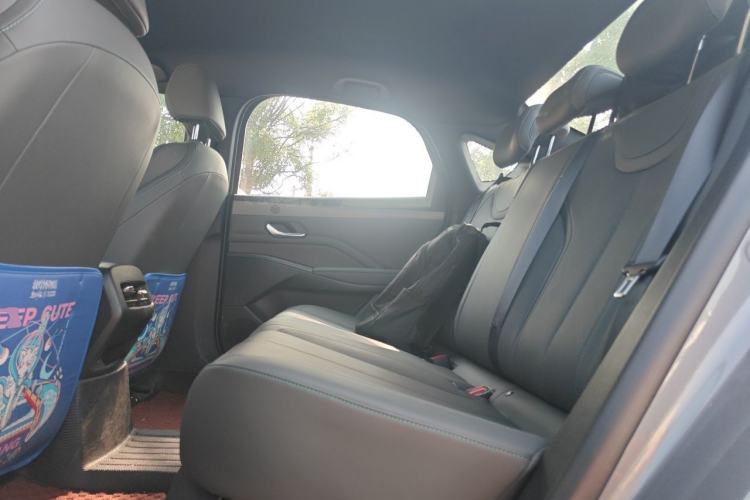 Used BYD Qin PLUS 2025 DM-i Smart Drive 55KM Leading Model Left Rear Seat