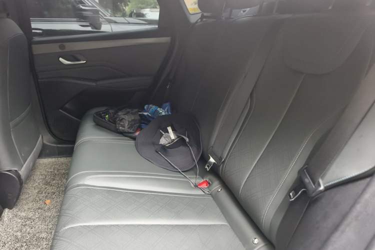 Used BYD Qin PLUS 2025 DM-i Smart Drive 55KM Leading Model Left Rear Seat