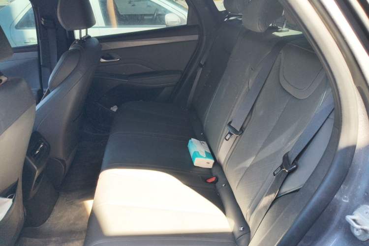 Used BYD Qin PLUS 2025 DM-i Smart Drive 55KM Leading Model Left Rear Seat