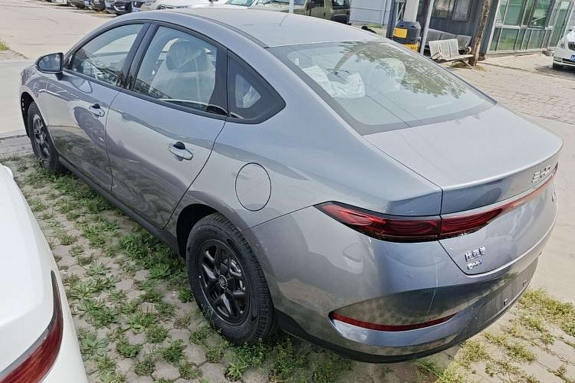 Used BYD Qin PLUS  Rear Left 45 Deg