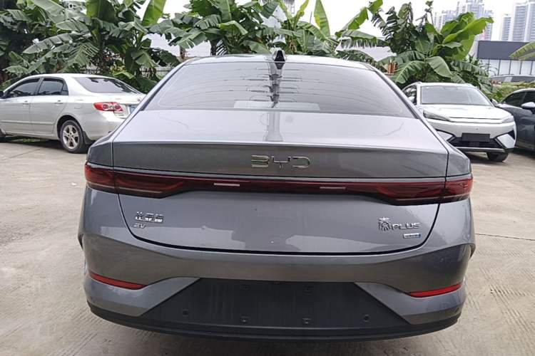Used BYD Qin PLUS 2025 EV Smart Drive Version 510KM Beyond Model Rear