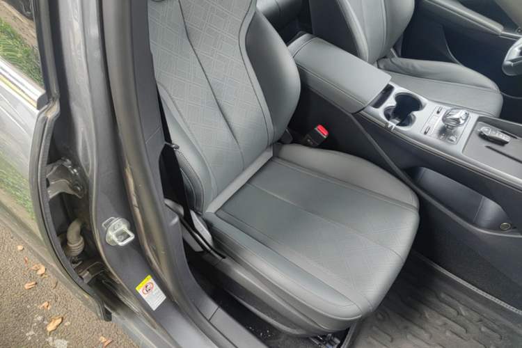 Used BYD Qin PLUS 2025 DM-i Smart Drive 120KM Superior Model Right Front Seat