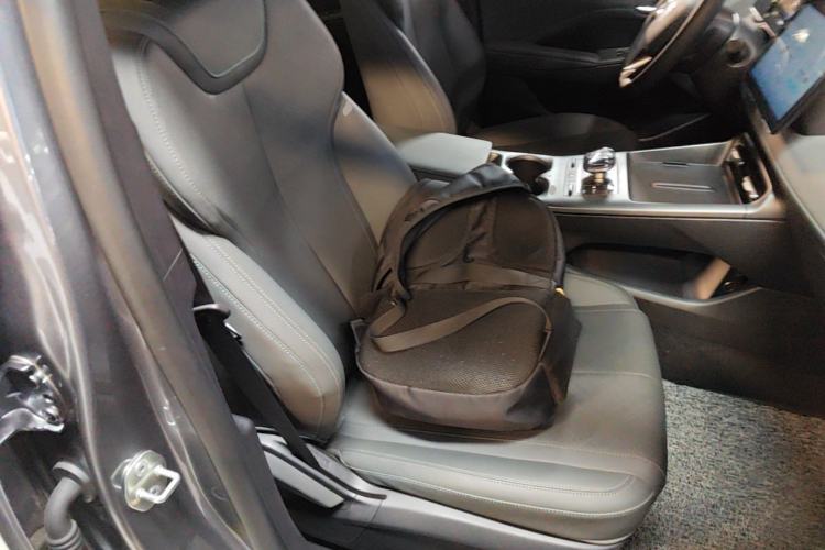 Used BYD Qin PLUS 2025 DM-i Smart Drive 55KM Leading Model Right Front Seat