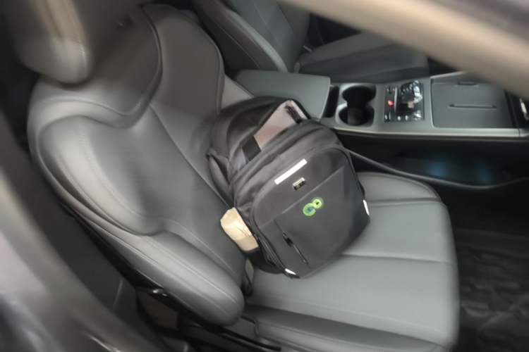 Used BYD Qin PLUS 2025 DM-i Smart Drive 55KM Leading Model Right Front Seat