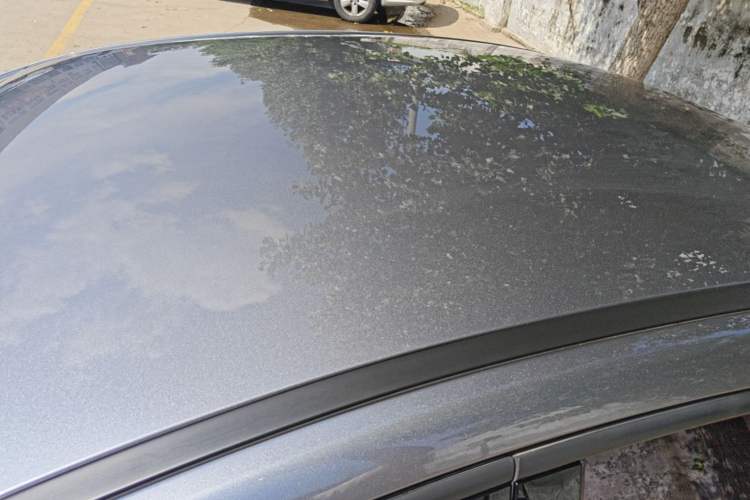 Used BYD Qin PLUS 2025 DM-i Smart Drive 55KM Leading Model Roof