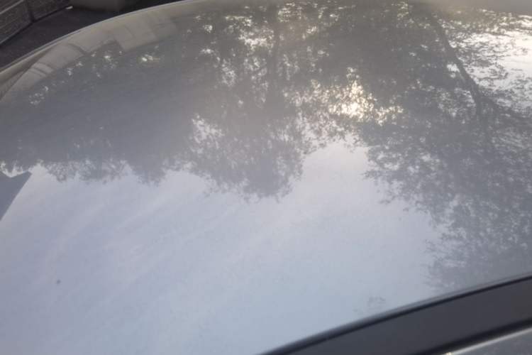 Used BYD Qin PLUS  Roof