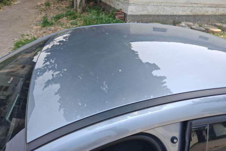 Used BYD Qin PLUS 2025 DM-i Smart Drive 55KM Leading Model Roof