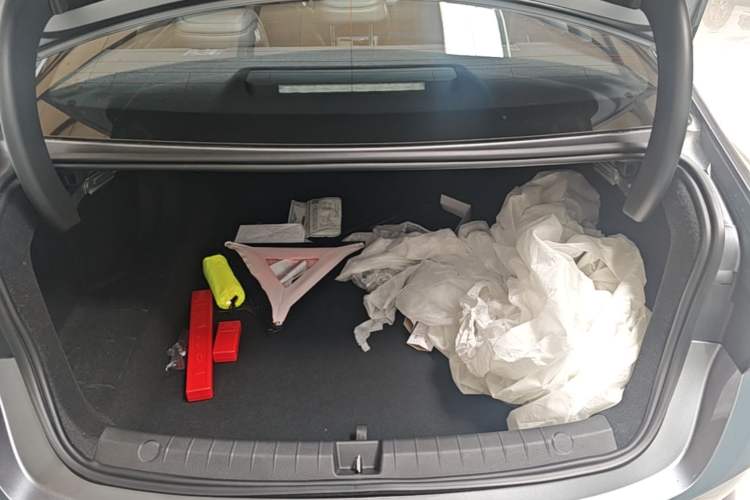 Used BYD Qin PLUS  Trunk
