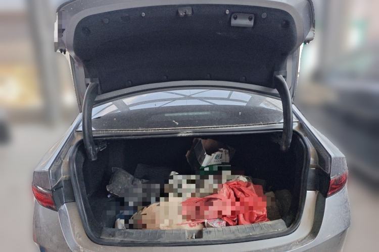 Used BYD Qin PLUS  Trunk