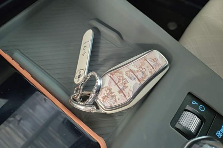 Used BYD Qin PLUS 2025 DM-i Smart Drive 55KM Leading Model Vehicle Key
