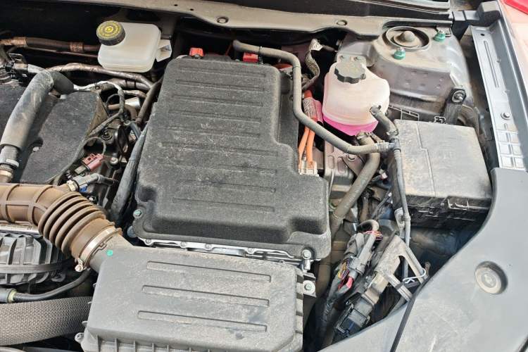 Used BYD Qin PLUS 2025 DM-i Smart Drive 55KM Leading Model Engine Bay Left