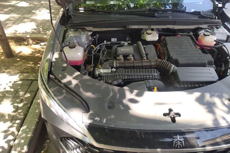 Used BYD Qin PLUS 2025 DM-i Smart Drive 55KM Leading Model Engine Bay Right