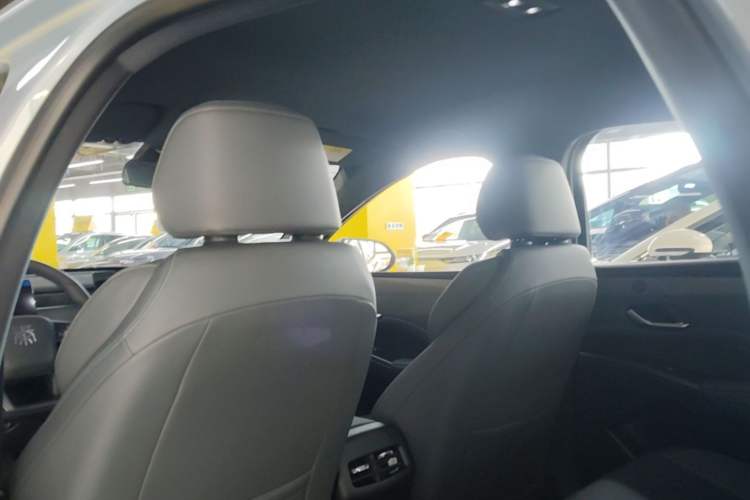 Used BYD Qin PLUS  Headliner