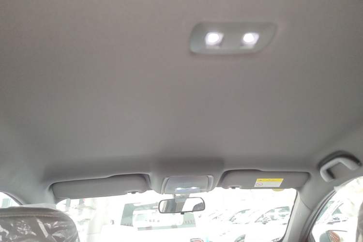 Used BYD Qin PLUS  Headliner